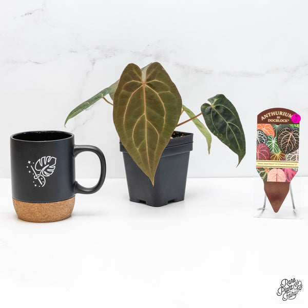 Anthurium Home, Sweet Home '32' x Dark & Handsome '9' by DocBlock® (wk6-U)