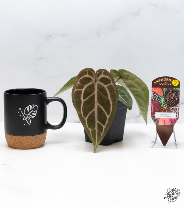 Anthurium Purple Rain '27' x Red Velvet Cake '24' by DocBlock® (wk46-O)