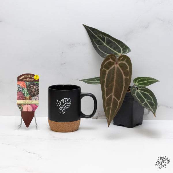 Anthurium Red Velvet Cake '24' x Zara '29' by DocBlock® (wk46-R)