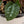 Anthurium Luxurians X 'Zara' x 'Michelle' by DocBlock® (wk33-W)