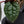 Anthurium Luxurians X 'Zara' x 'Michelle' by DocBlock® (wk32-W)