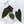 Anthurium Dark and Handsome '9' x Dark and Handsome '9' by DocBlock® (wk34-D) *Dark and Vibrant Emergent*
