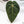 Variegated Anthurium Dark and Handsome '9' x Red Velvet Cake '24' by DocBlock® (wk33-AB)