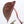 Anthurium Crystal Red '12' x Michelle '1' by DocBlock® (wk36-N) *Pink Vein Emergent*