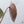 Anthurium Thor's Lightning '51' x Crystal Red '12' by DocBlock® (wk36-C) *Fused Sinus*
