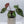 Anthurium Zara '33' x Zara '29' by DocBlock® (wk34-H) *Vibrant Emergent*