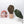 Anthurium Zara '33' x  Home, Sweet Home '32' by DocBlock® (wk37-E) *Purple Vein Emergent*