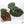 Anthurium Zara '33' x  Home, Sweet Home '32' by DocBlock® (wk37-E) *Purple Vein Emergent*