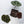 Anthurium Zara '3' x Zara '33' by DocBlock® (wk34-O) *Dark and Vibrant Emergent*