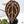 Anthurium Zara '29' x DocBlock Zara '3' by DocBlock® (wk37-P) *Fused Sinus*