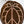 Anthurium Zara '29' x DocBlock Zara '3' by DocBlock® (wk37-P) *Fused Sinus*