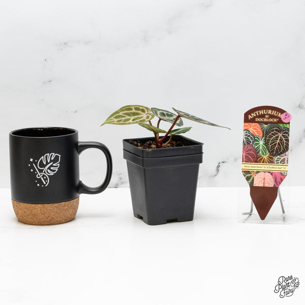 Anthurium Home, Sweet Home '32' x Zara '14' by DocBlock® (wk51-J)