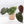 Anthurium Home, Sweet Home '32' x Red Velvet Cake '24' by DocBlock® (wk37-C) *Dark and VIbrant Emergent*