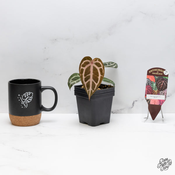 Anthurium Home, Sweet Home '32' x Zara '14' by DocBlock® (wk45-F)