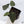Anthurium DocBlock Lynette '18' x Dark & Handsome '9' by DocBlock® (wk35-D)