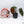 Anthurium Magnificent Dark '49' x Zara '29' by DocBlock® *Very Dark* (wk32-C)