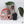 Anthurium Michelle '1' x DocBlock Purple Rain '27' by DocBlock® (wk35-N) *Vibrant Emergent*