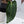 Anthurium Red Velvet Cake '24' x Dark and Handsome '9' by DocBlock® (wk34-T) *Dark and Vibrant Emergent*