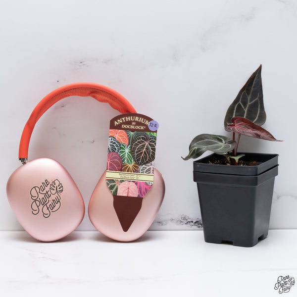 Anthurium Red Velvet Cake '24' x DocBlock Zara '29' by DocBlock® *Dark and Vibrant Emergent* (wk32-R)