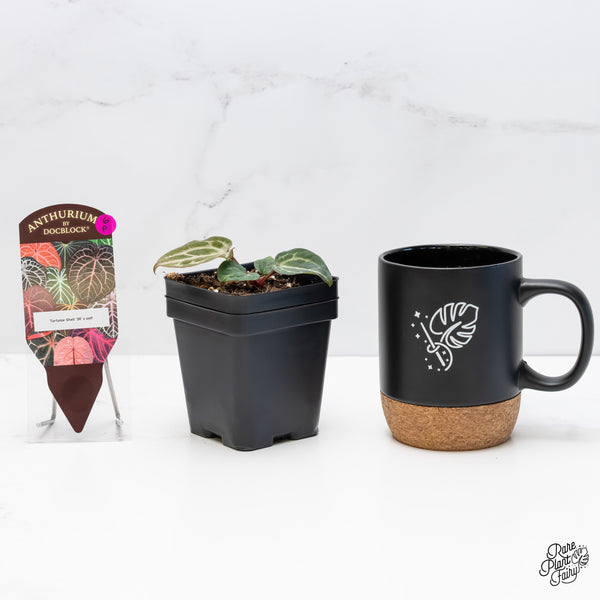 Anthurium Tortoise Shell Grey '36'x Tortoise Shell Grey '36' by DocBlock® (wk6-P)