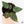 Variegated Anthurium Zara '14' x Home, Sweet Home '32' by DocBlock® (wk37-S)