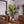 Aspect™ Gen 2 LED Growlight