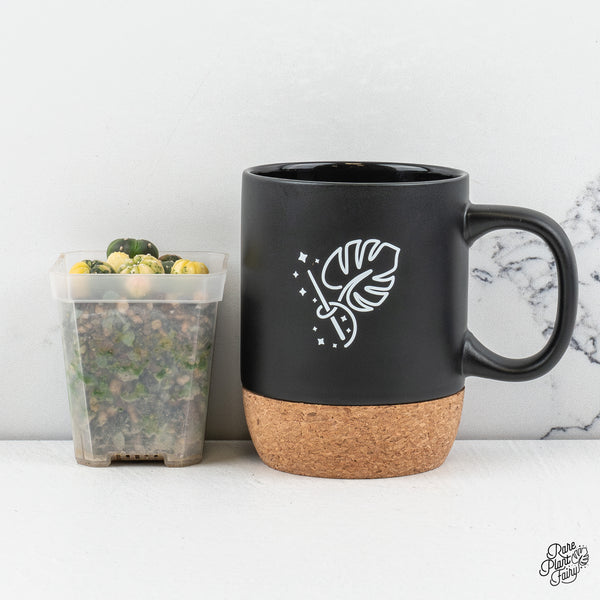 Astrophytum Asterias Variegated Cactus (wk47-B)