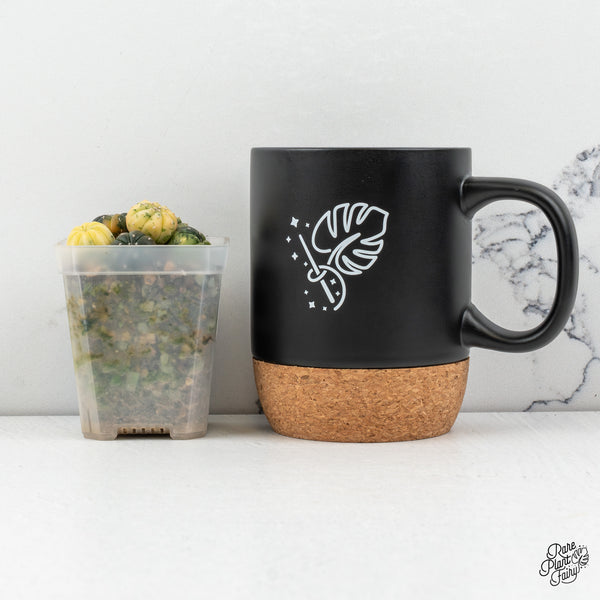 Astrophytum Asterias Variegated Cactus (wk50-K)