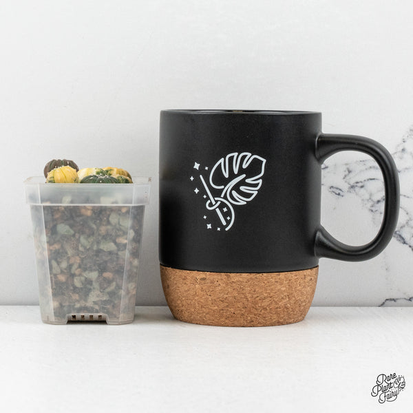 Astrophytum Asterias Variegated Cactus (wk50-L)