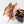 Begonia Maculata Pink Variegated - Multiple Growth Points (wk35-L206)
