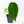 Anthurium Black Widow '43' x Zara '14' by DocBlock® (wk21-B) - Fused Sinus