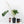 Anthurium DocBlock Briëlle '16' x Lynette '18' by DocBlock® (wk28-C)