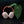 Anthurium (carlablackiae x Ace of Spades) x antolakii (previously BVEP) *Grower's Choice*