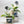 Detroit Lions 7.5 in Pots™ (Made in USA) 2pc/set