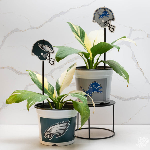 Detroit Lions 7.5 in Pots™ (Made in USA) 2pc/set