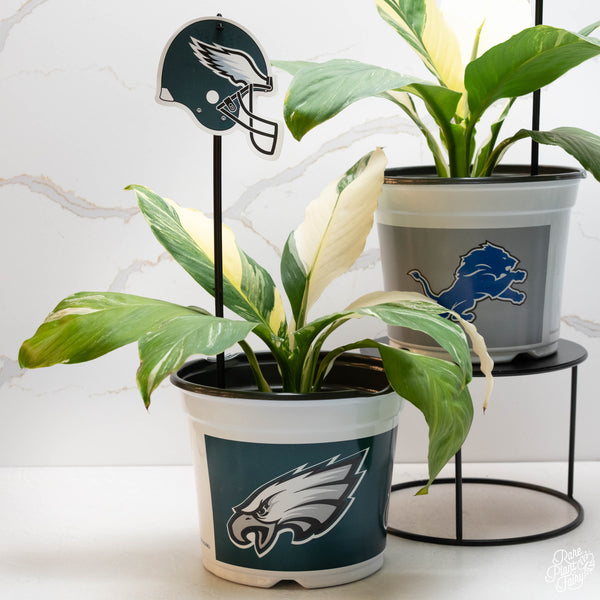 Philadelphia Eagles 7.5 in Pots™ (Made in USA) 2pc/set