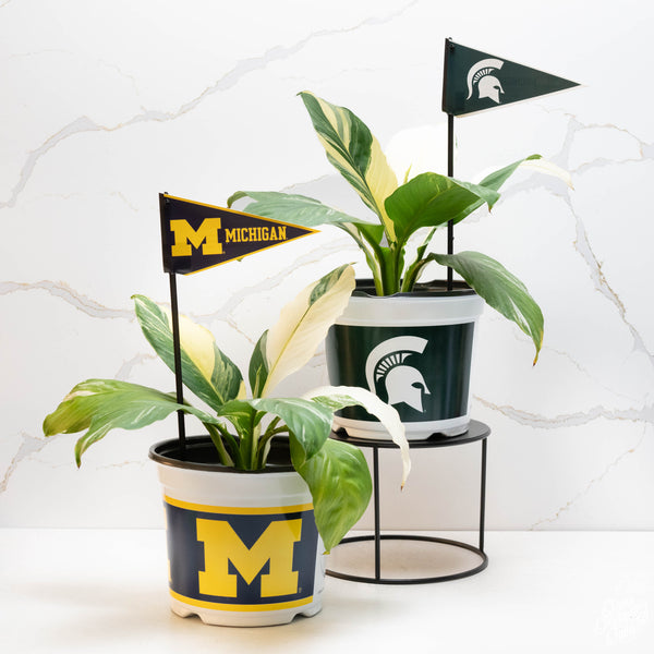 Michigan State University (MSU) 7.5 in Pots™ (Made in USA) 2pc/set