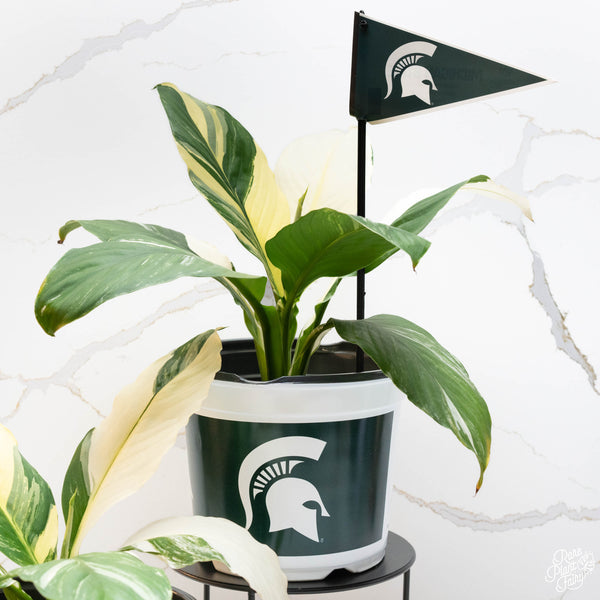 Michigan State University (MSU) 7.5 in Pots™ (Made in USA) 2pc/set