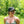 Rare Plant Fairy® Baseball Cap/Dad Hat