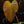 Philodendron grandipes *Grower's choice*