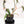 Philodendron Micans Variegated 'Velvet Halo' *Grower's Choice*