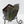 Anthurium Dark and Handsome '9' x Minerva '20' by DocBlock (wk41-L353)