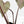 Anthurium Dark and Handsome '9' x Zara '14' by DocBlock (wk39-L184)