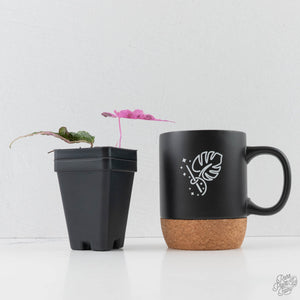 Dioscorea 'Satun Pink' (wk44-L416)