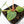 Anthurium DocBlock F2 x Carlablackiae  by DocBlock® (wk16-S)