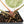 Anthurium Minerva '20' x  Minerva '20' by DocBlock® (wk16-N)
