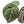 Anthurium Orange '26' x DocBlock Crystal Red '12' by DocBlock® (wk17-U)