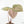 Anthurium Orange '26' x DocBlock Crystal Red '12' by DocBlock® (wk17-U)