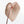 Variegated Anthurium  Zara '29' x  Zara '3' by DocBlock® (wk32-U105)