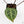 Anthurium Zara '33' x Zara '29' by DocBlock® (wk16-M)